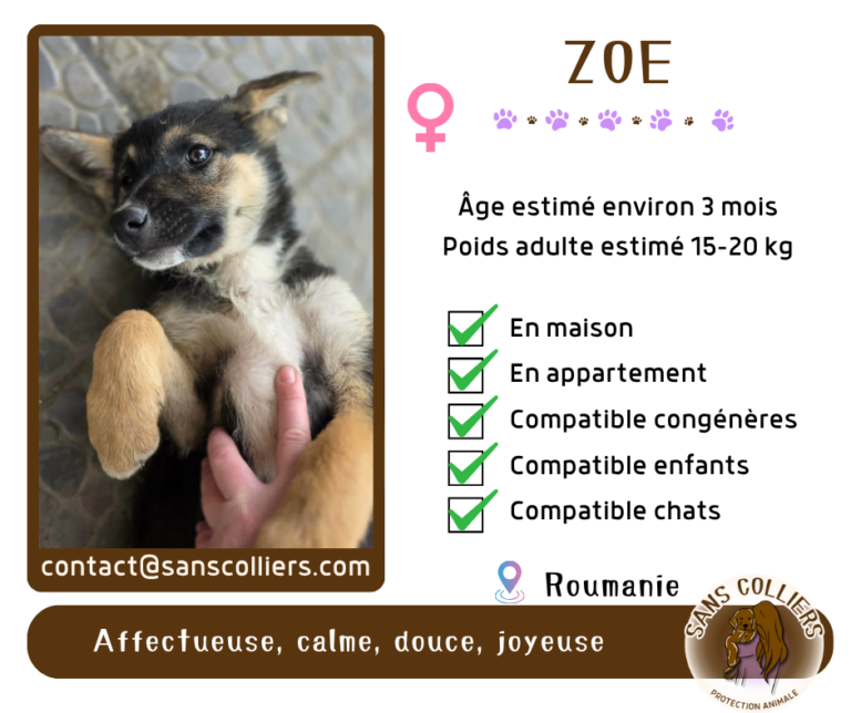 ZOE
