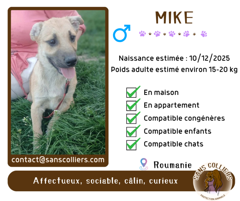 MIKE