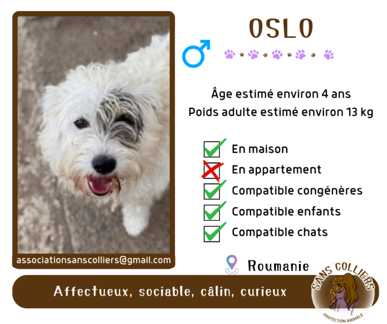 OSLO