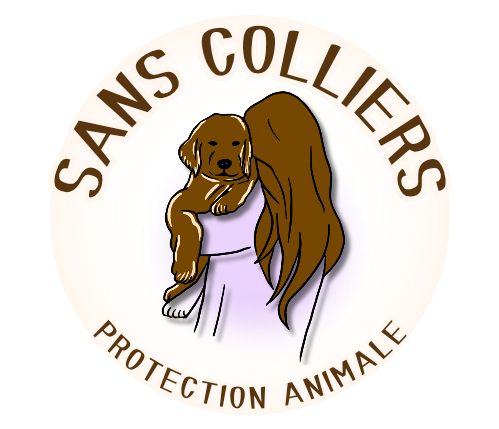 Sans Colliers