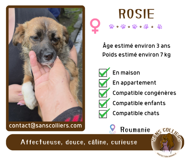 ROSIE