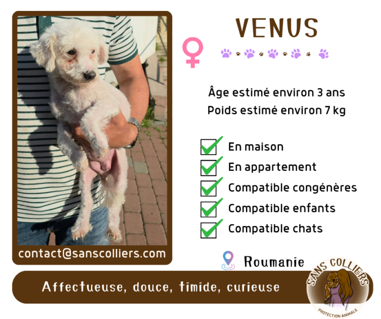 VENUS