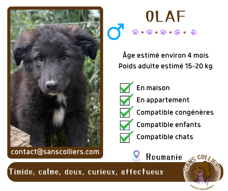 OLAF