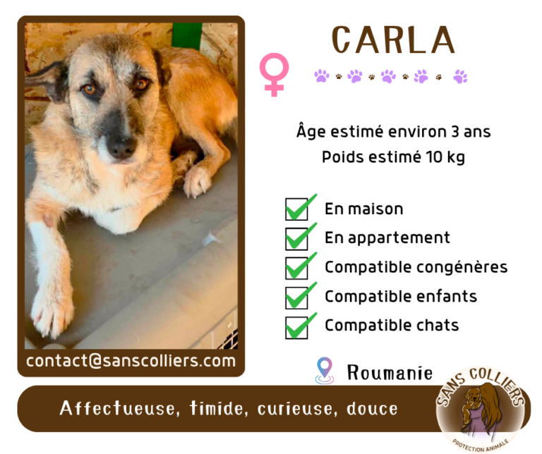 CARLA