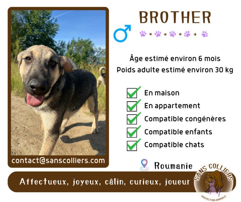 BROTHER