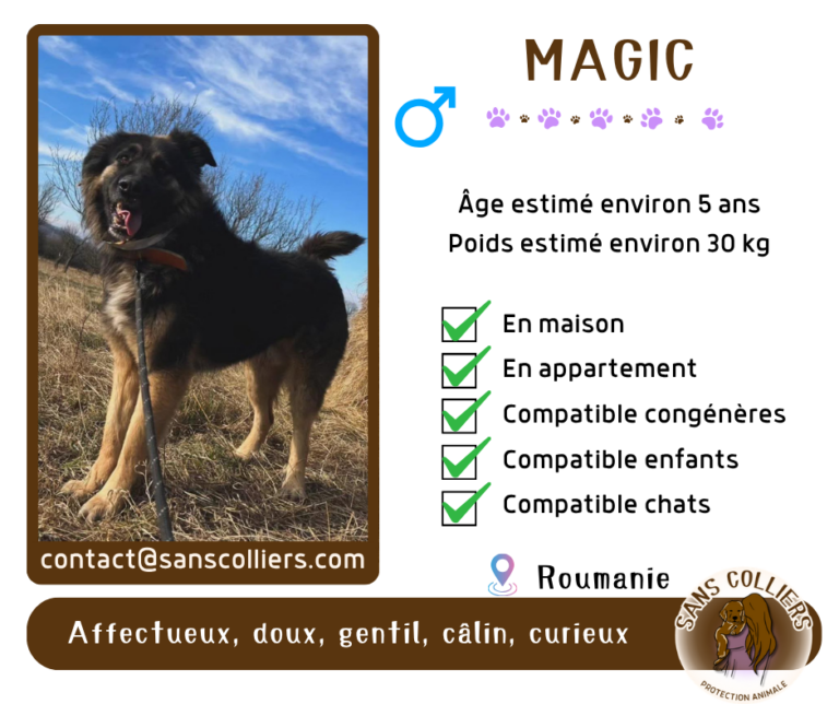 MAGIC