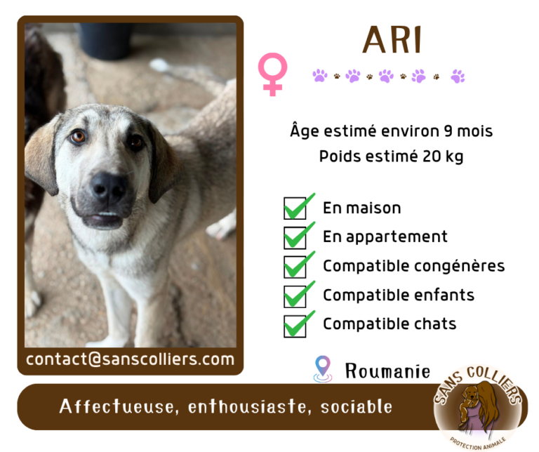 ARI
