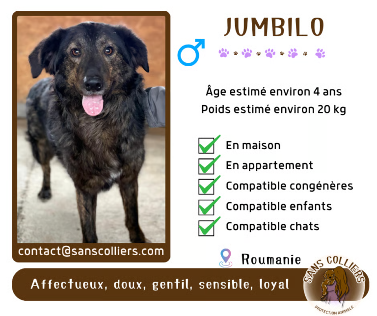 JUMBILO
