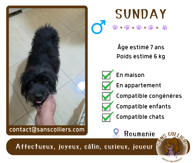 SUNDAY