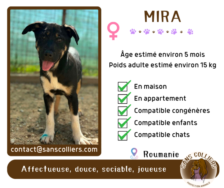 MIRA