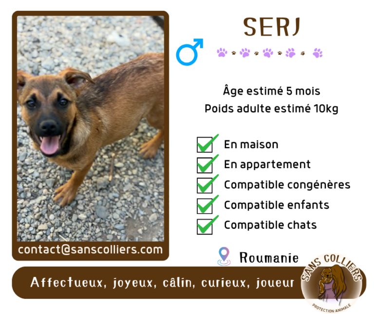 SERJ