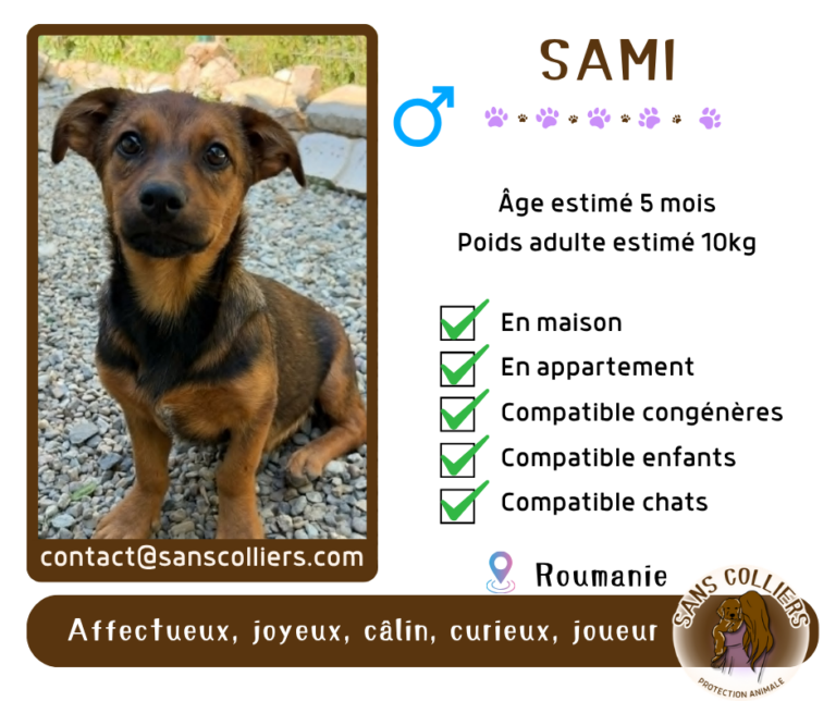 SAMI