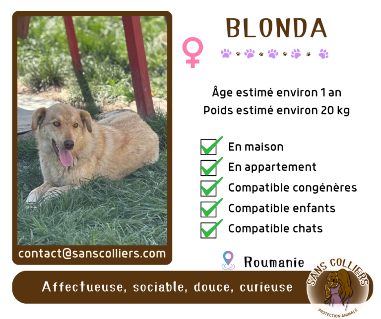 BLONDA