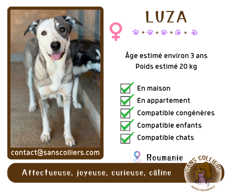 LUZA