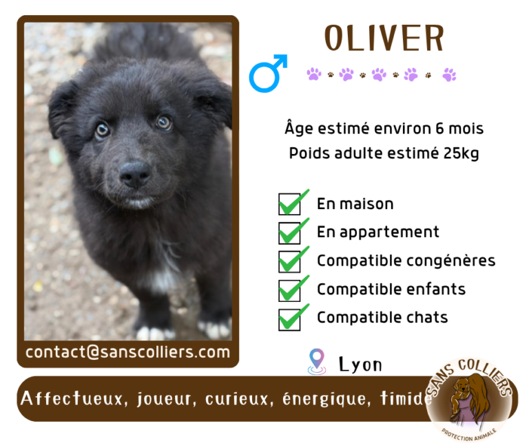 OLIVER