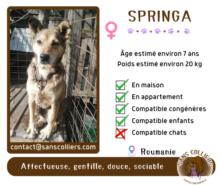 SPRINGA