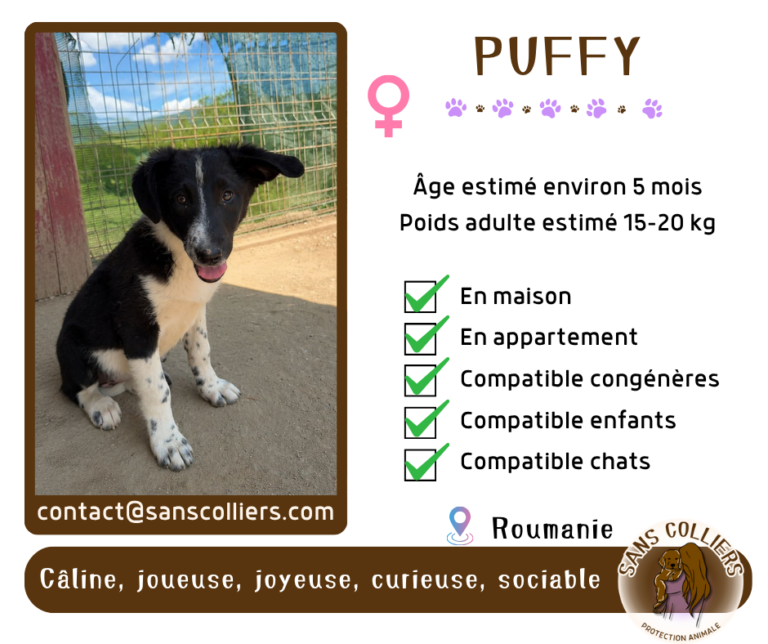 PUFFY