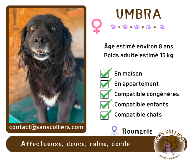 UMBRA
