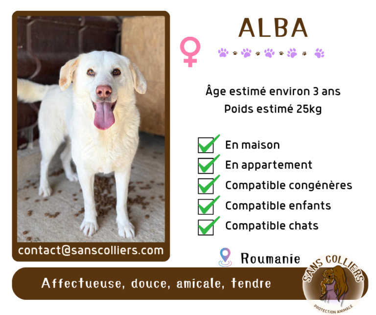 ALBA