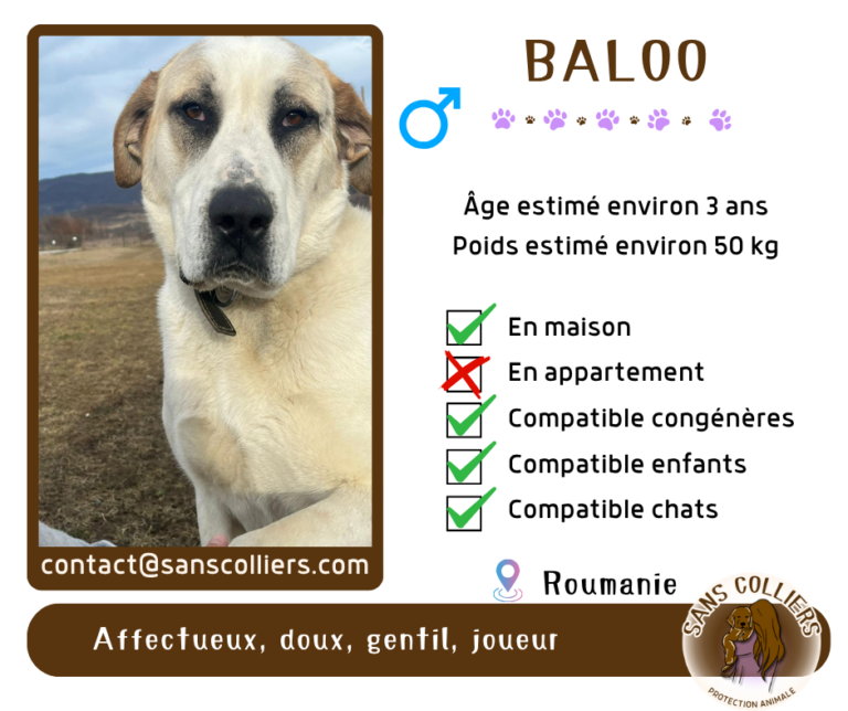 BALOO