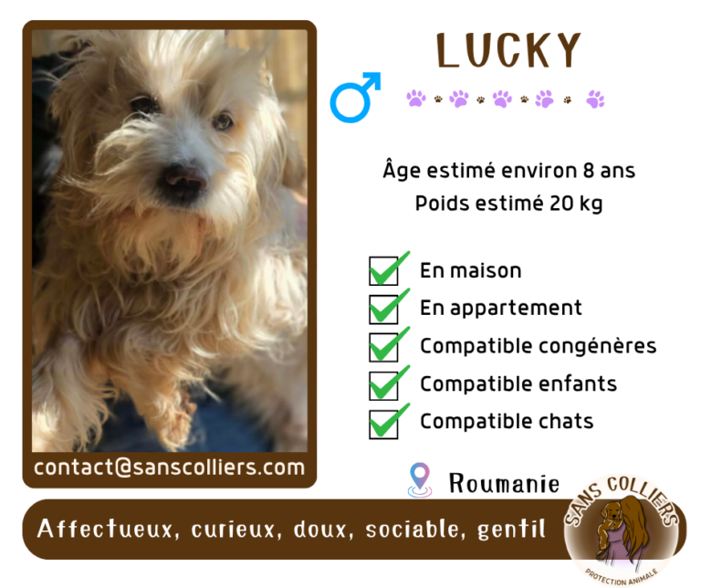 LUCKY