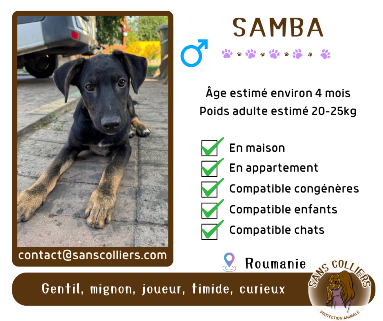 SAMBA