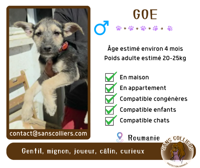 GOE