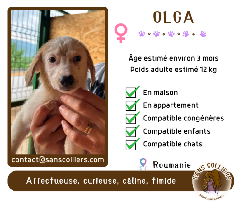 OLGA