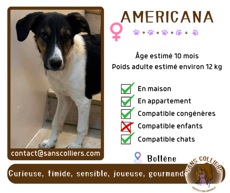 AMERICANA