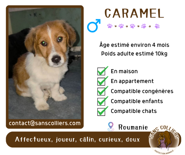 CARAMEL