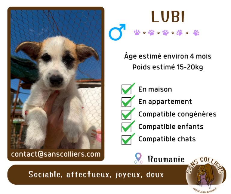 LUBI