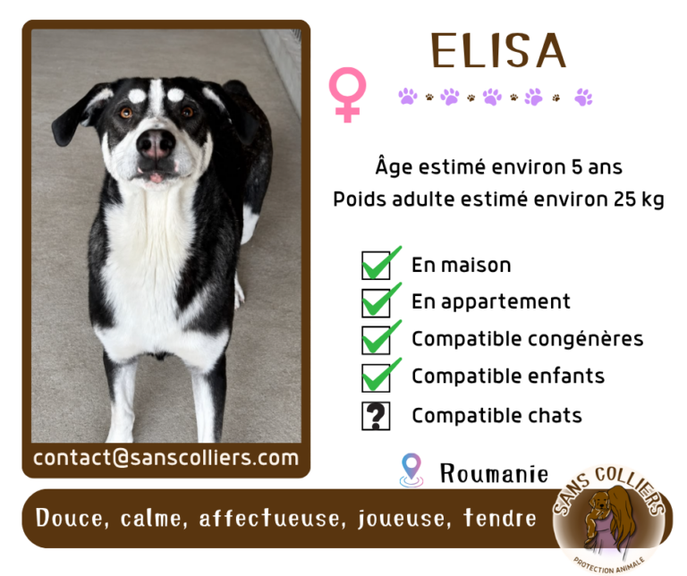 ELISA