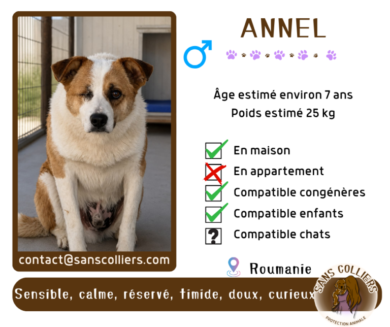 ANNEL
