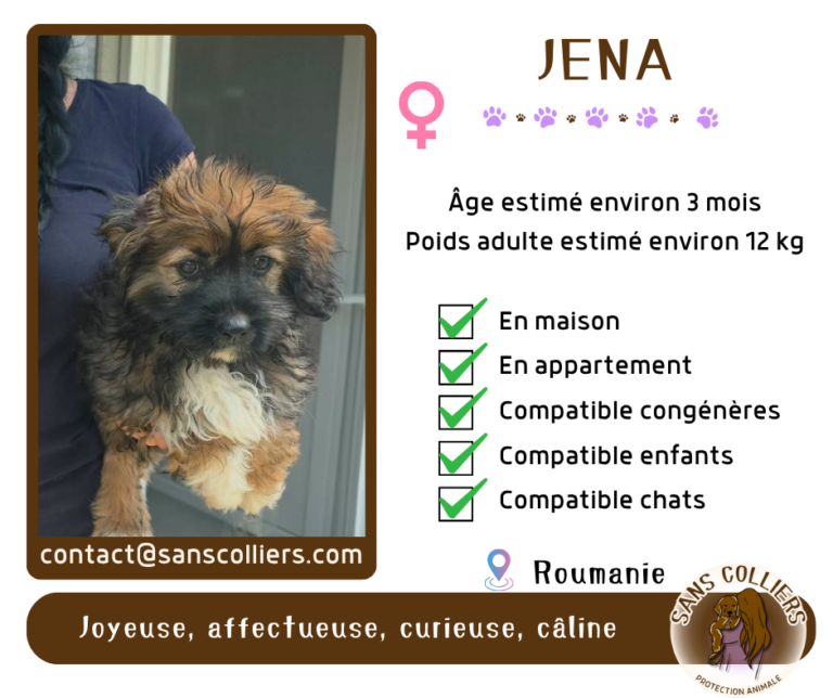 JENA