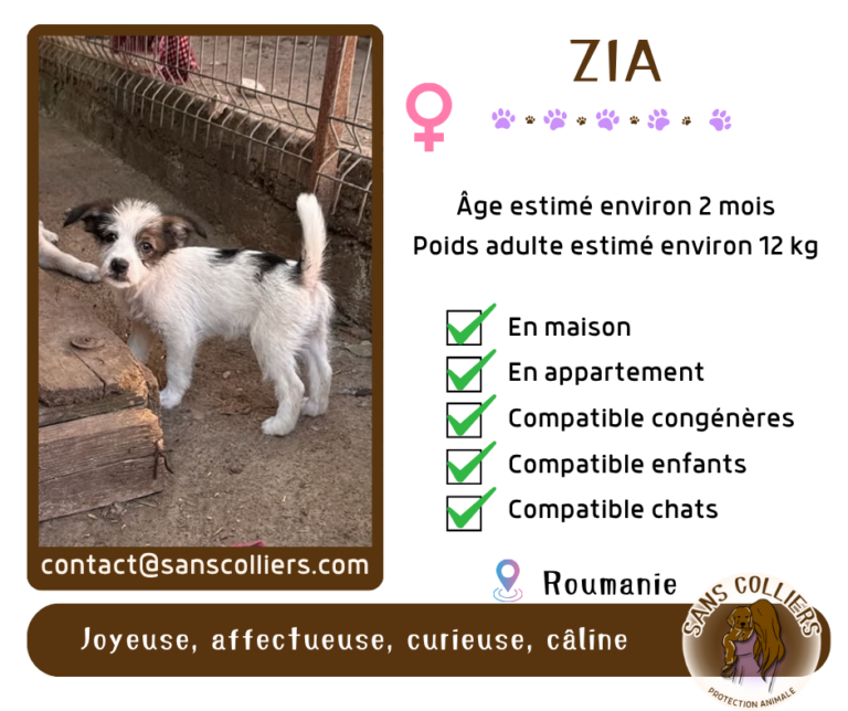 ZIA