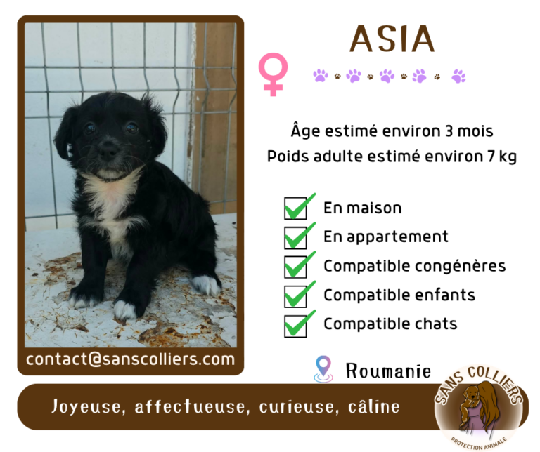 ASIA