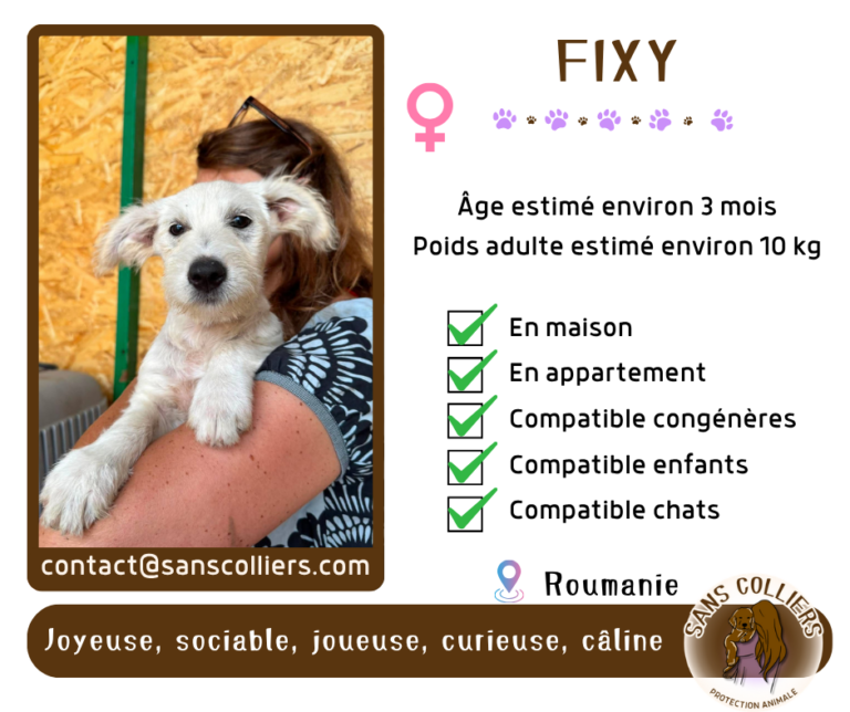 FIXY