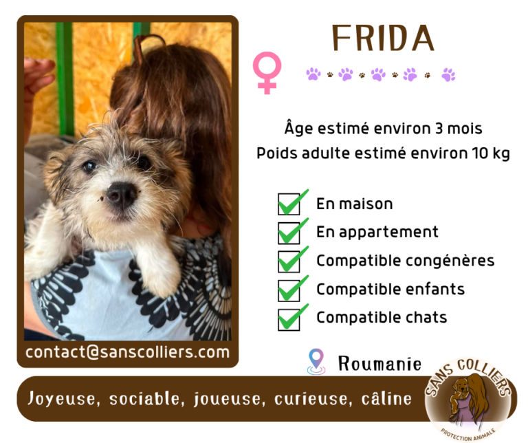 FRIDA