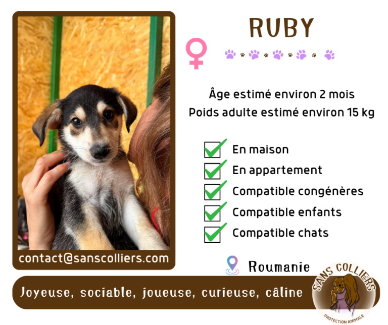 RUBY