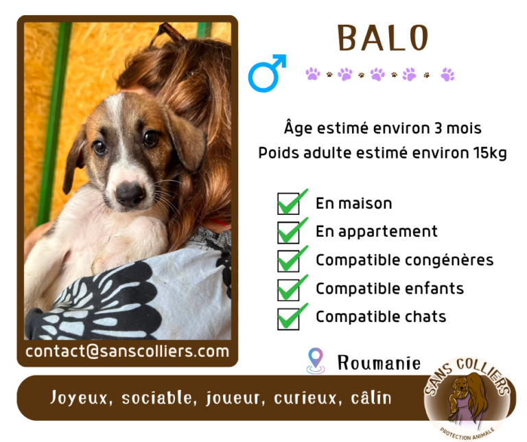 BALO