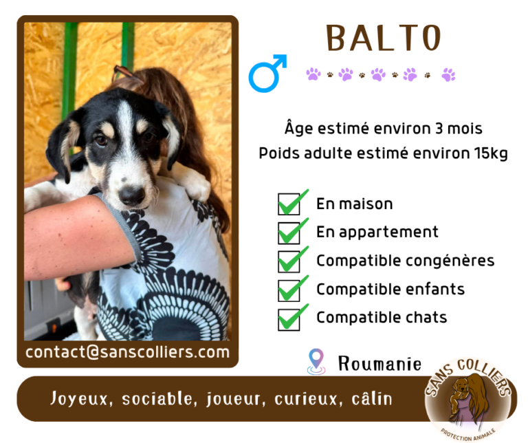 BALTO