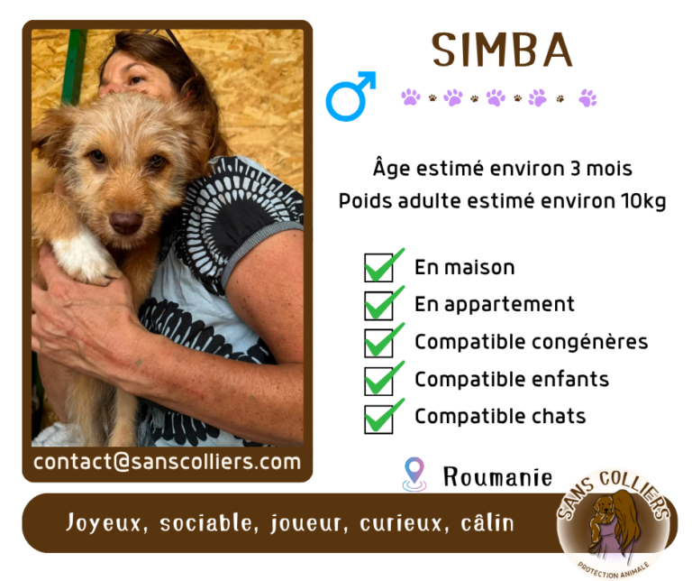 SIMBA