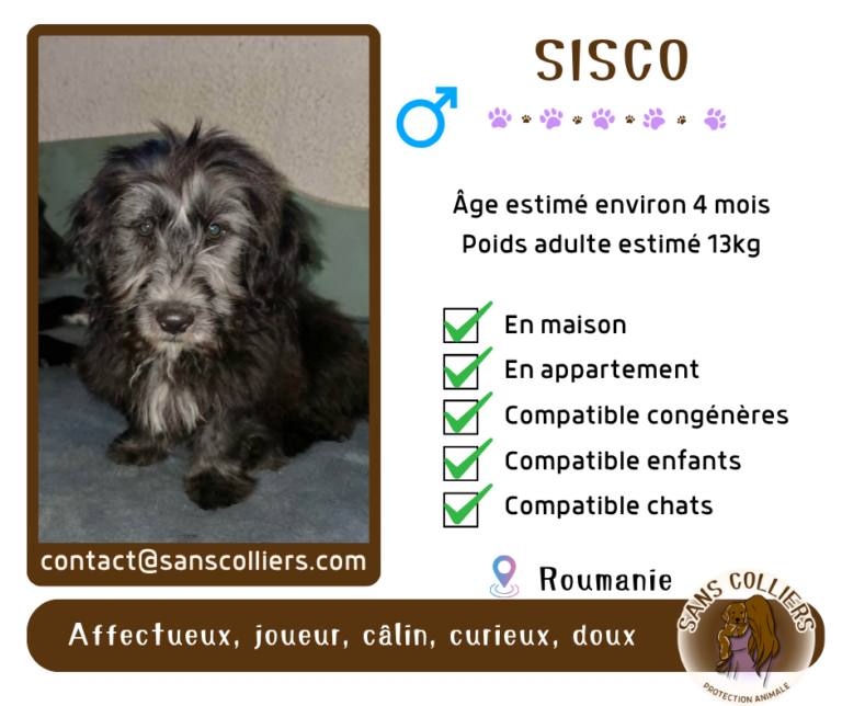 SISCO