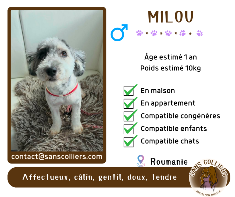 MILOU