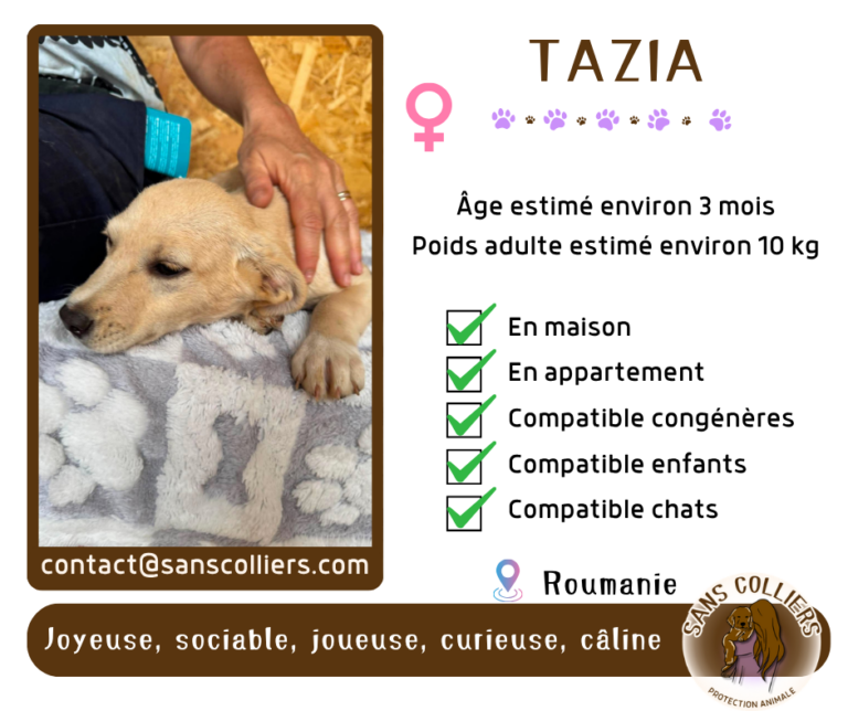 TAZIA