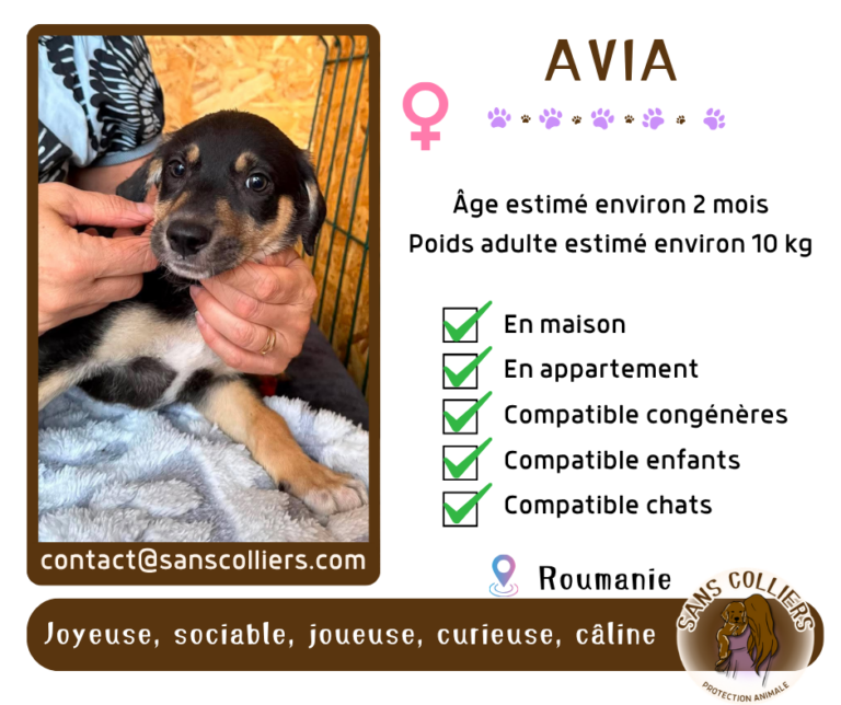 AVIA