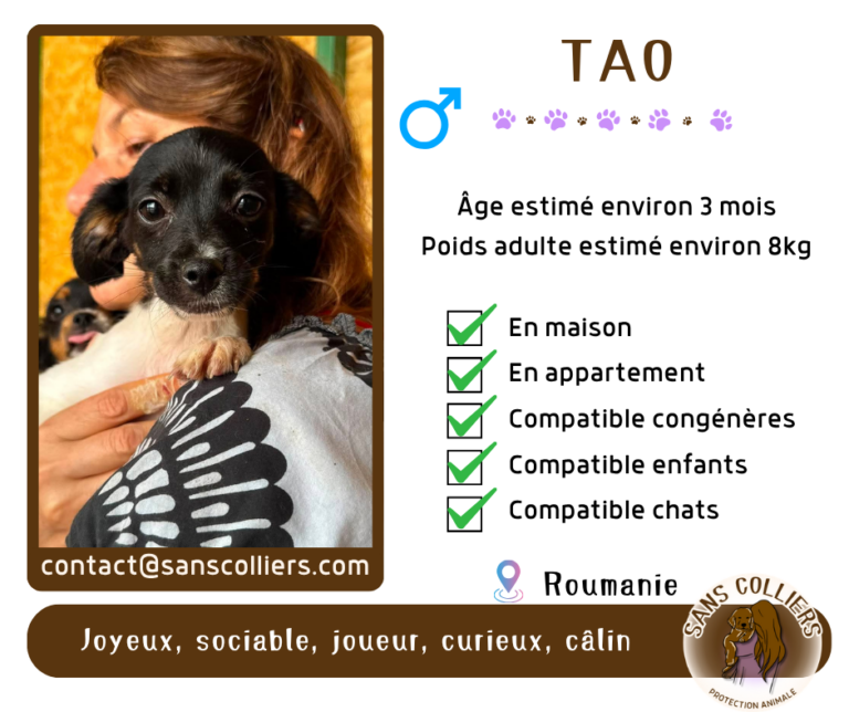 TAO