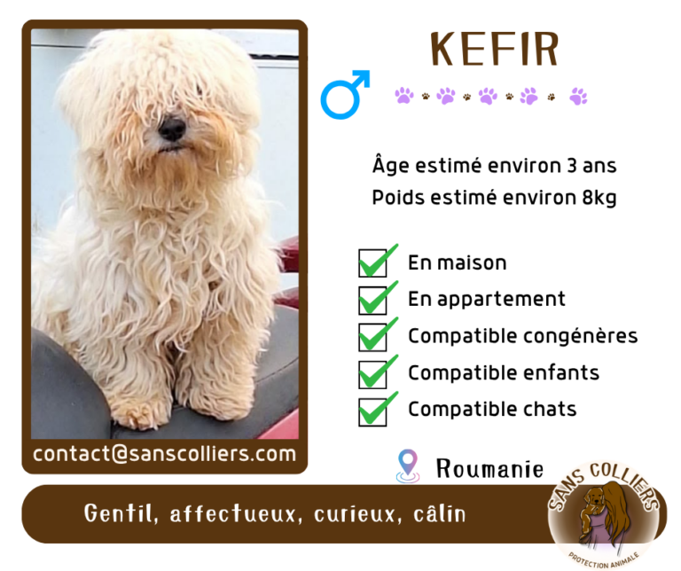 KEFIR