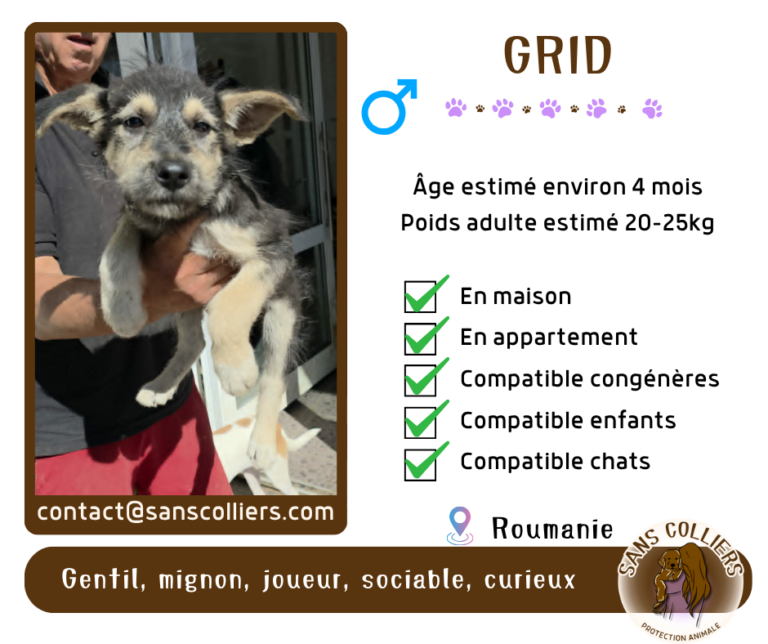 GRID