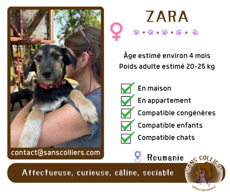 ZARA